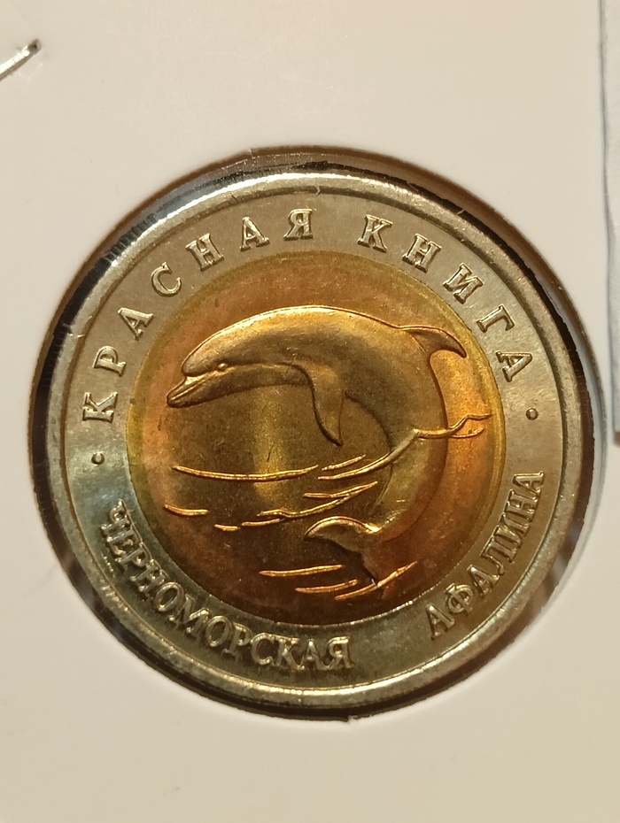 50 ������ 1993, ������� ����� - ������������ �������