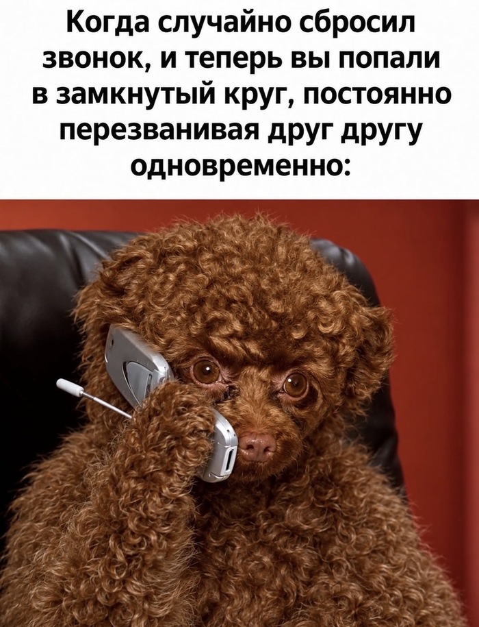 Порочный круг