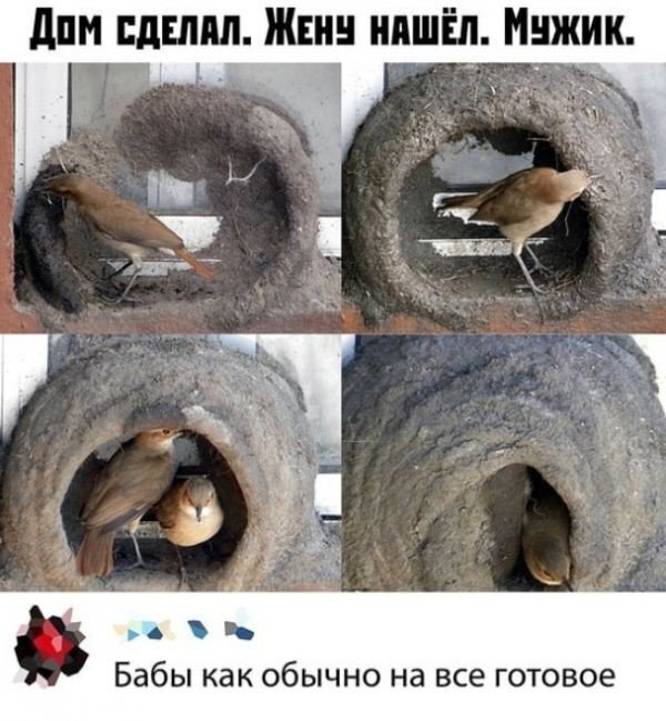 �������������)))