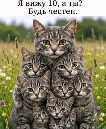������������������� ��� 35 ���� ������ �����