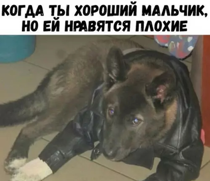 Выбрать сторону порой очень непросто