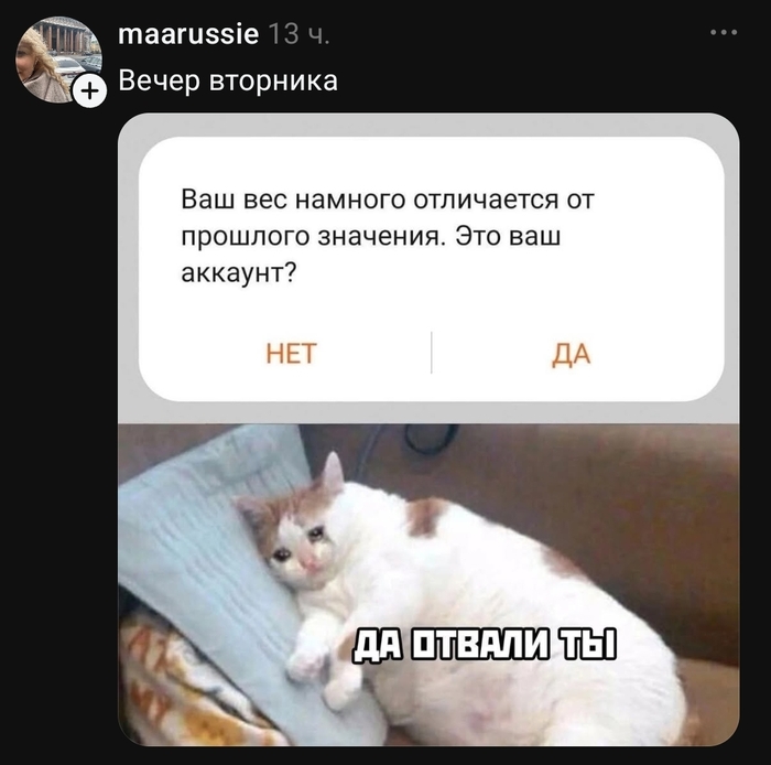 Да, мой