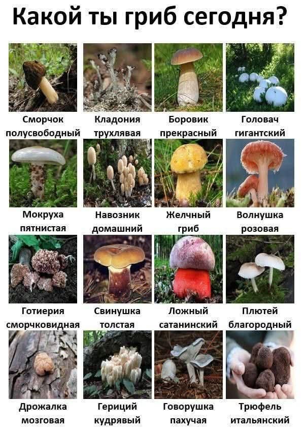С понедельником;)