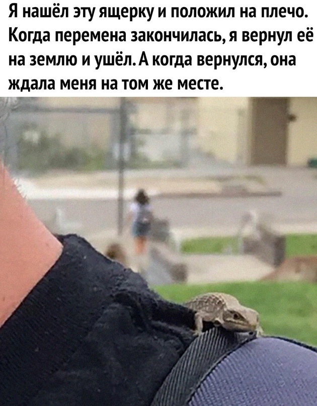 ������