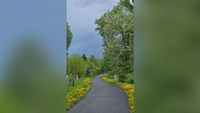 ����: ����� ���������