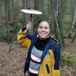 EllSova