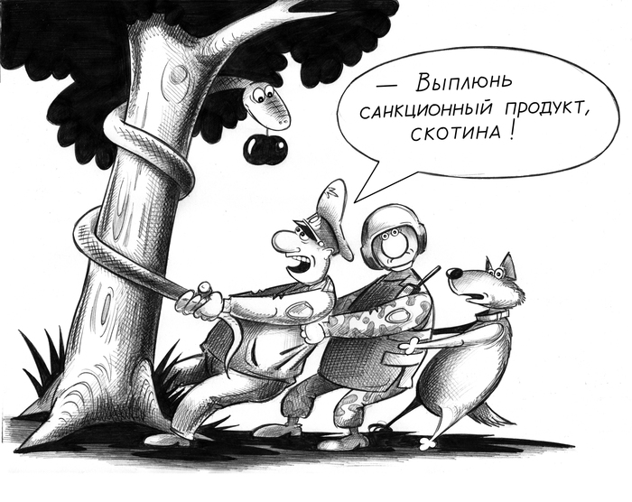 Без названия