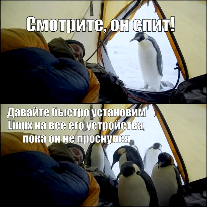 Шустрые пингвины