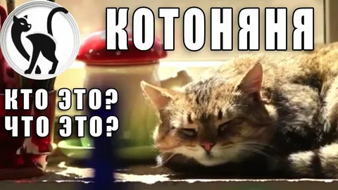 ����� �������� �� ����� �����