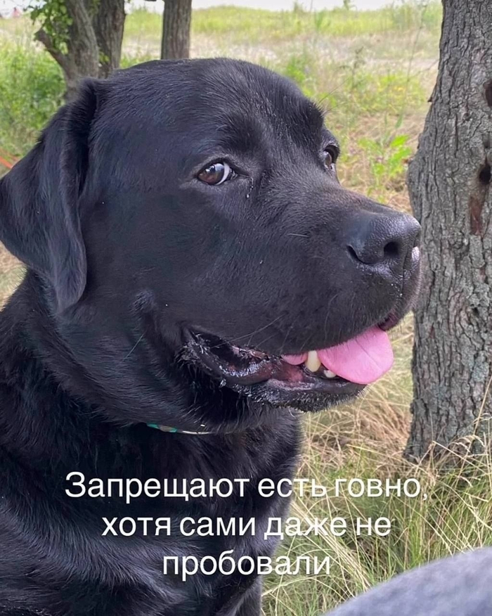 ��� ���� ����������