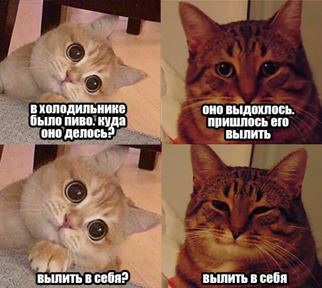 Юмор
