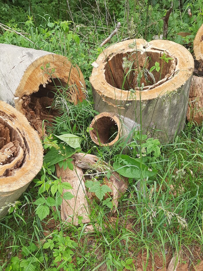 ������, ������ ������. ������ � ������ ������ ���������� ���������� ������.