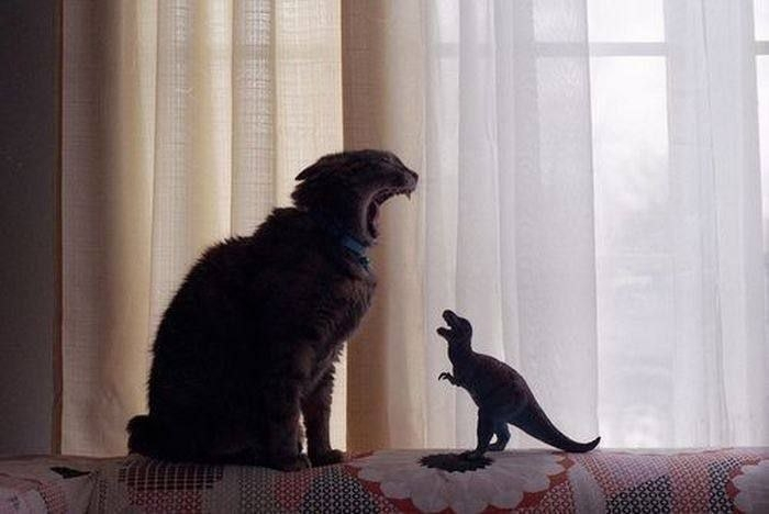 Котзилла