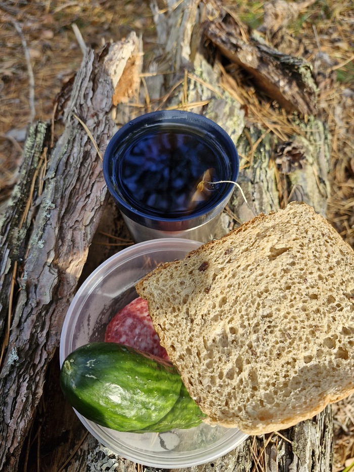 Душевный перекус на пеньке