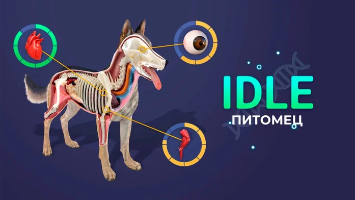 IDLE Питомец