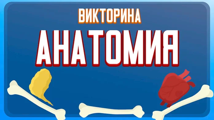 Викторина по Анатомии