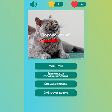 Все ли ты знаешь про котиков? Отвечай на вопросы, бери подсказки, соревнуйся с друзьями!