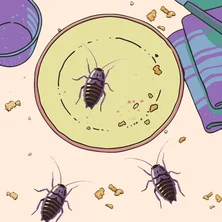 Save the Cake на Пикабу Игры