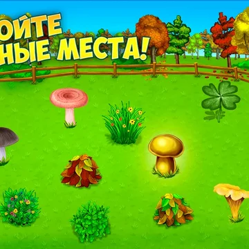 Собирайте грибы, готовьте и общайтесь. Экономический симулятор лесной фермы