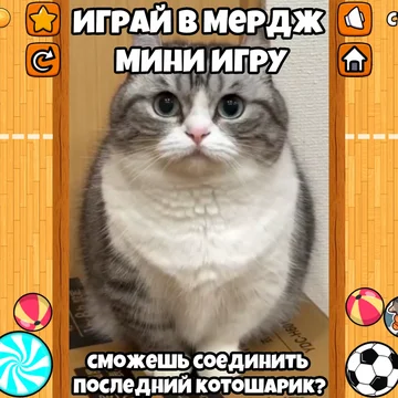 Позвони кошке Комару!😸 Заботься о ней: мой, корми, гладь и укладывай спать. Наряжай Комару в стильные образы, играй в мердж мини-игру💎 и смотри видео с забавными моментами из её жизни!😹▶️!
