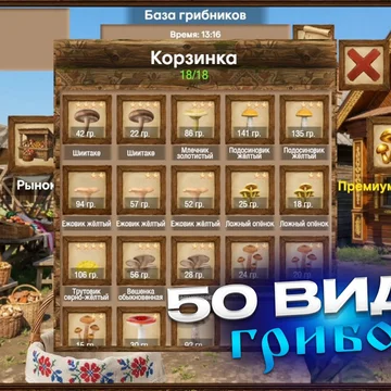 Спокойная игра про сбор грибов: выбирай локации, наполняй лукошко, продавай грибы за монеты, получай опыт и открывай новые места с редкими находками.