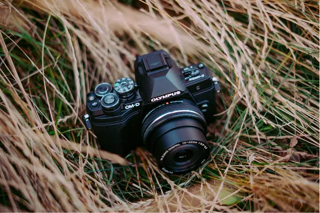 Лучшие бюджетные фотоаппараты: недорогие камеры для фото и видео съемки